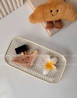 عطر ادکلن مینی پراداپاردوکس 🧸☁️